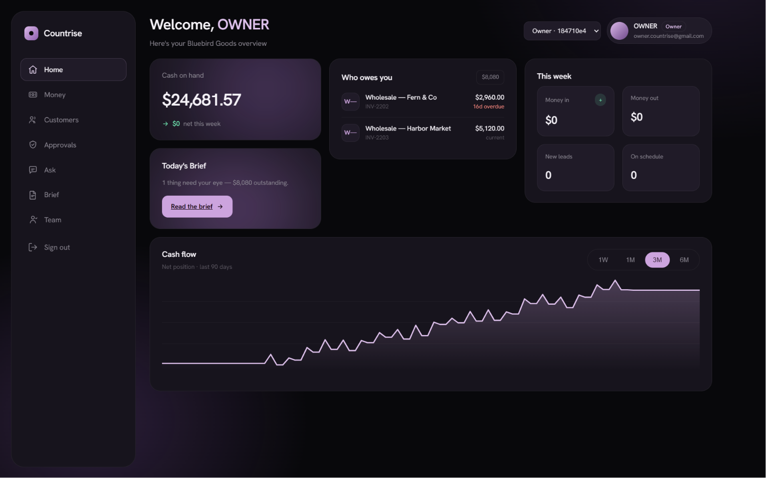 The CountRise owner home screen showing cash on hand, who owes the business money, and a weekly snapshot.