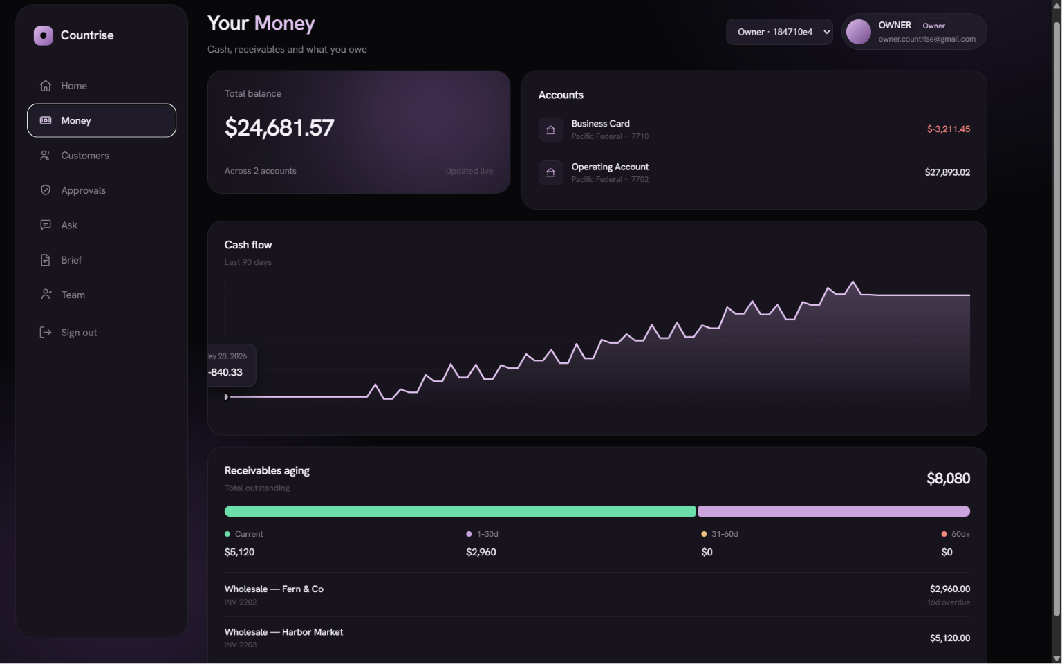The CountRise Money screen showing account balances, a cash-flow chart, and receivables aging.