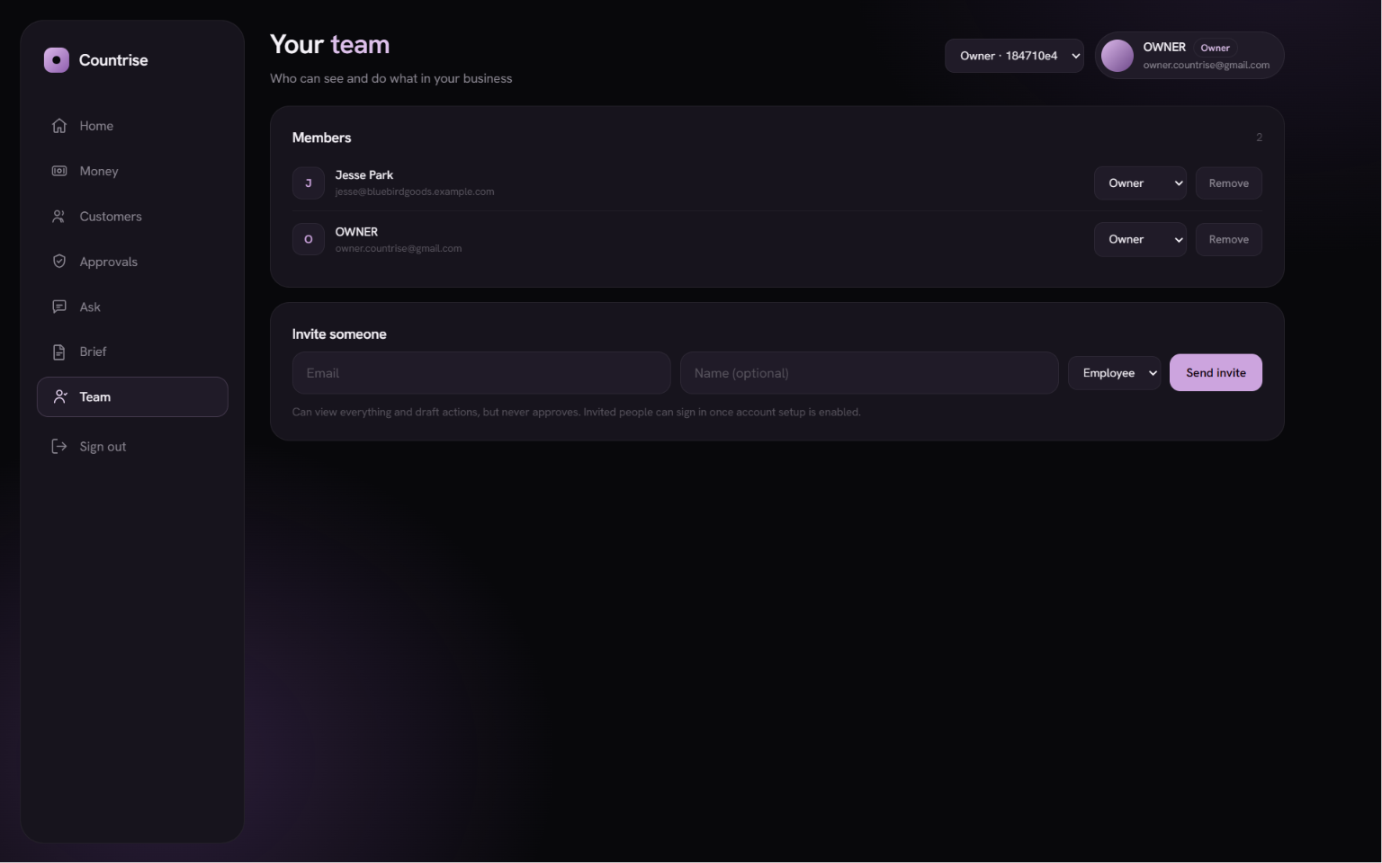 The CountRise Team screen showing account members, their roles, and an invite form.